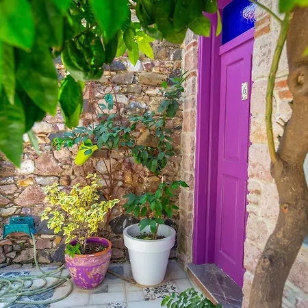 Cunda Mor Limon 3* Ayvalı