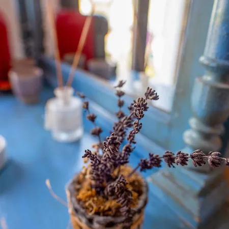 Cunda Mor Limon Ayvalı